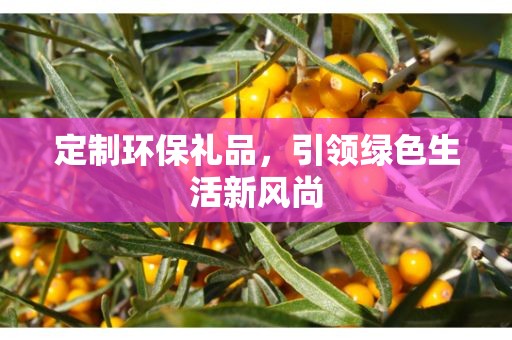 定制环保礼品，引领绿色生活新风尚